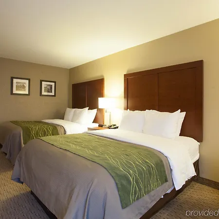 Quality Inn & Suites I-40 East North Little Rock Extérieur photo